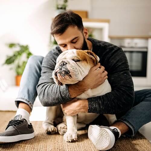 Wellness A man hugging a bulldog