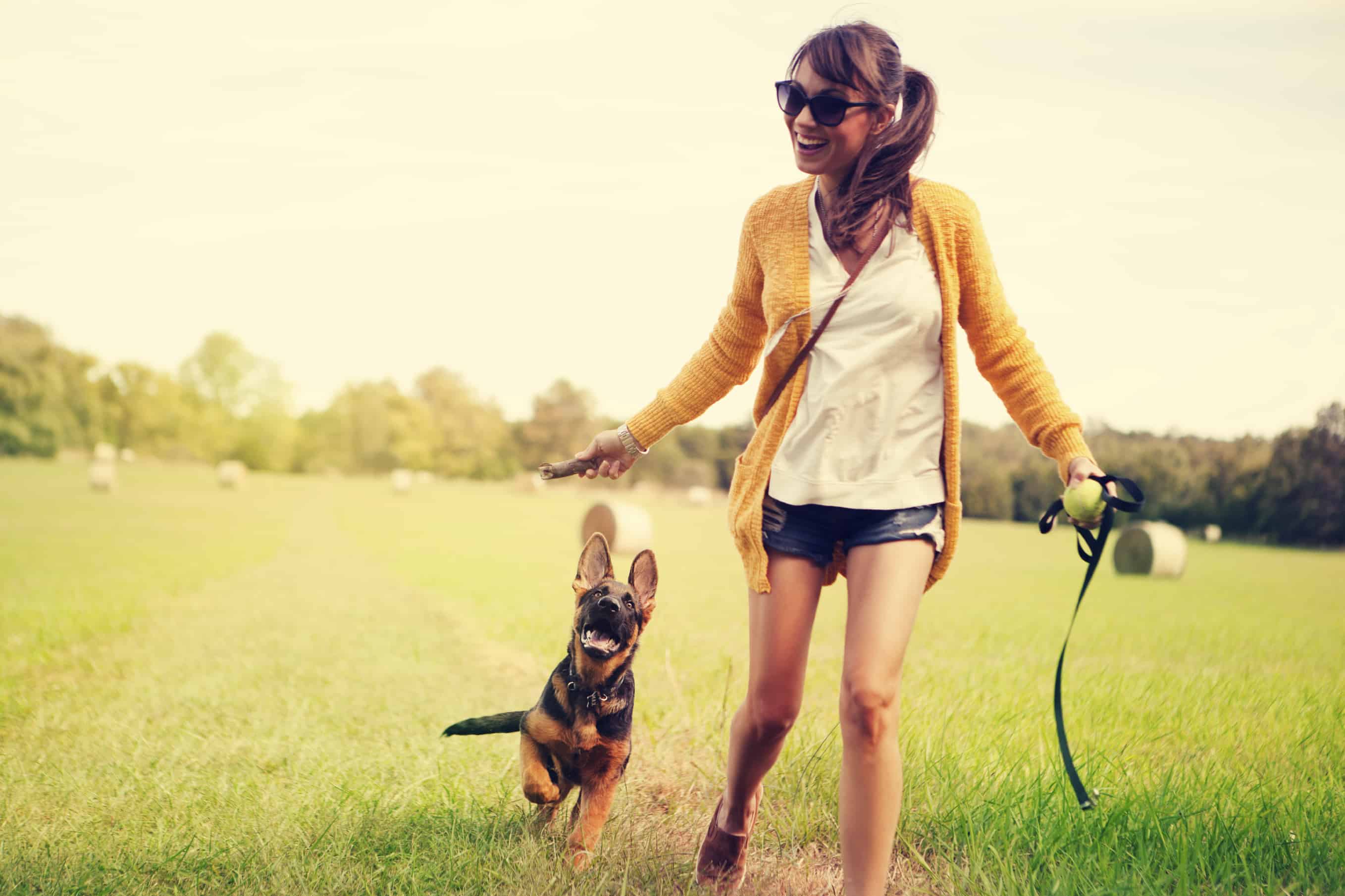 Is Walking Your Dog Off Leash Safe 