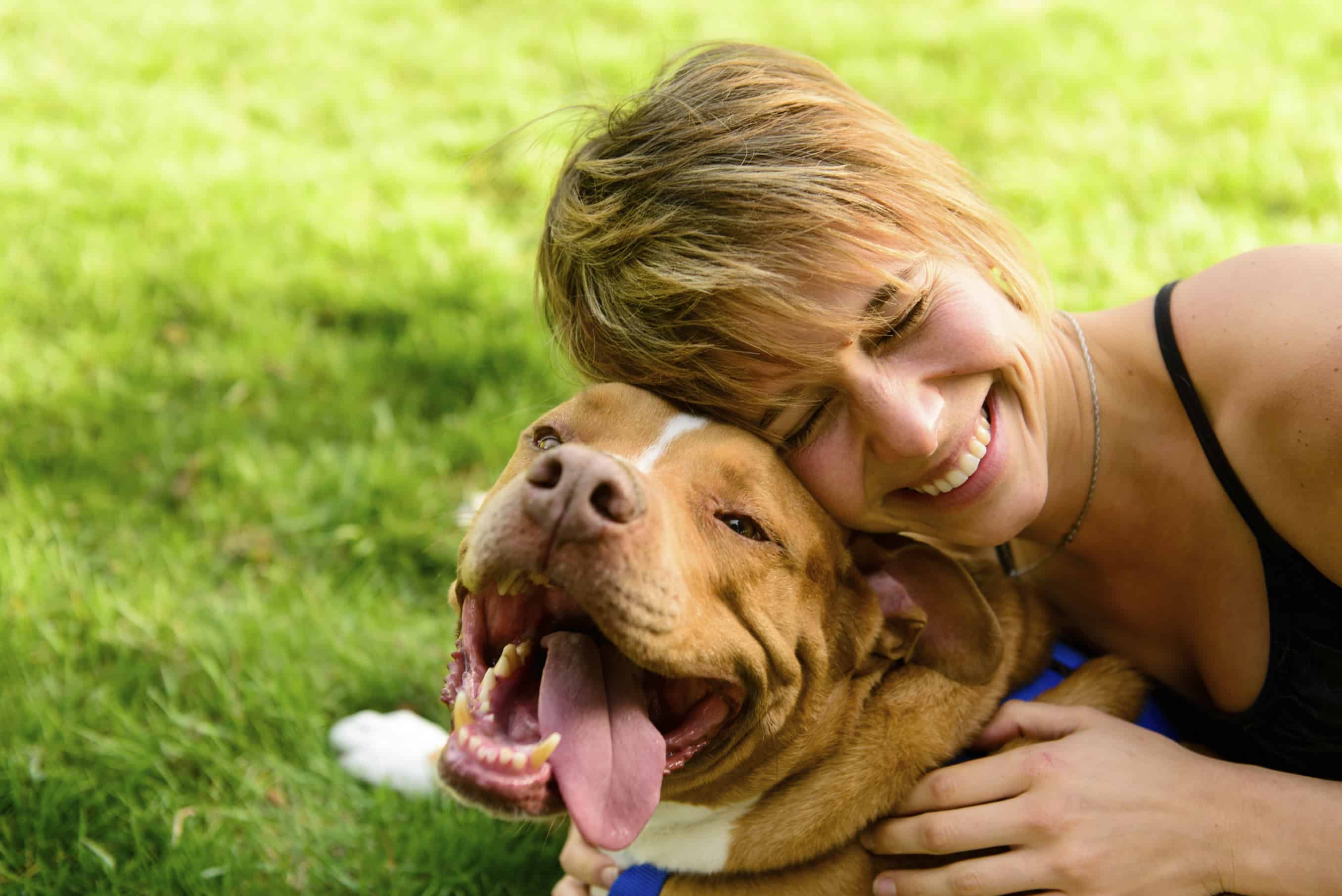 Playing with Happy Dog