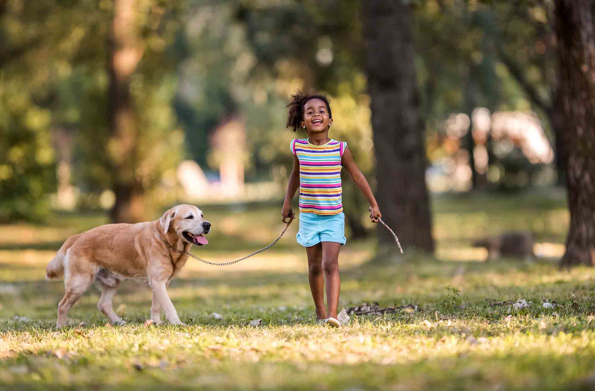 Kids and Pet Care: Taking Responsibility for the Family Pet