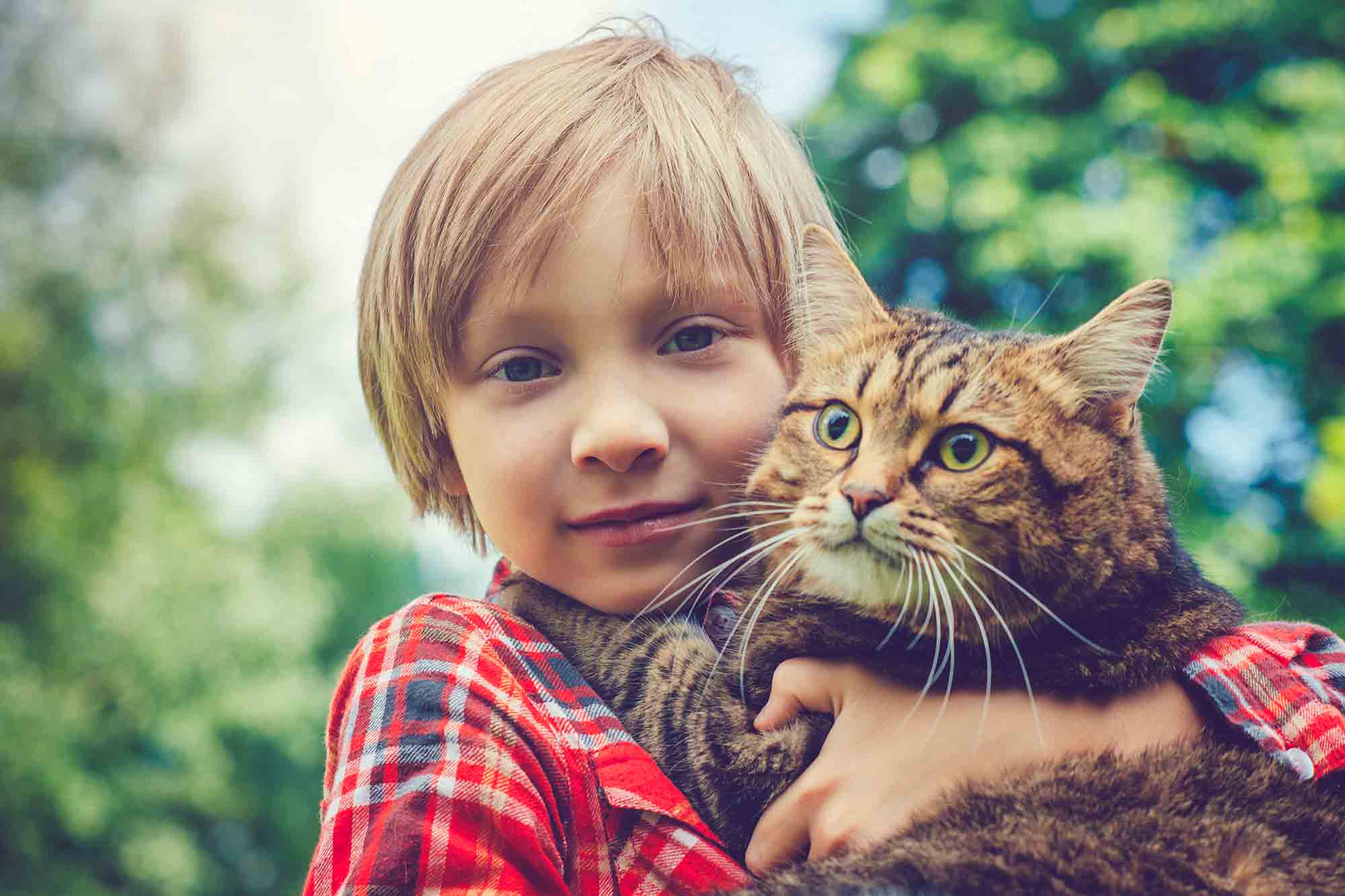Little Friends: The Best Kid-Friendly Pets