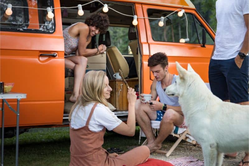 Is It Time to Go Camping With Your Pet?