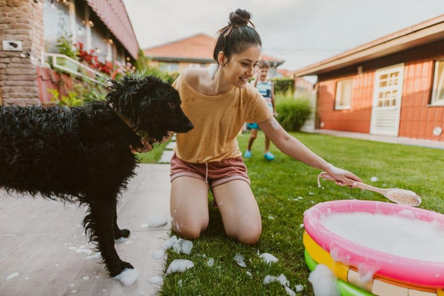 My Dog Got Sprayed by a Skunk!