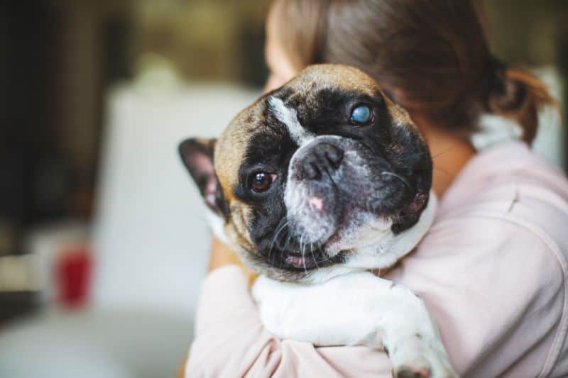 A woman holds a dog against her shoulder.