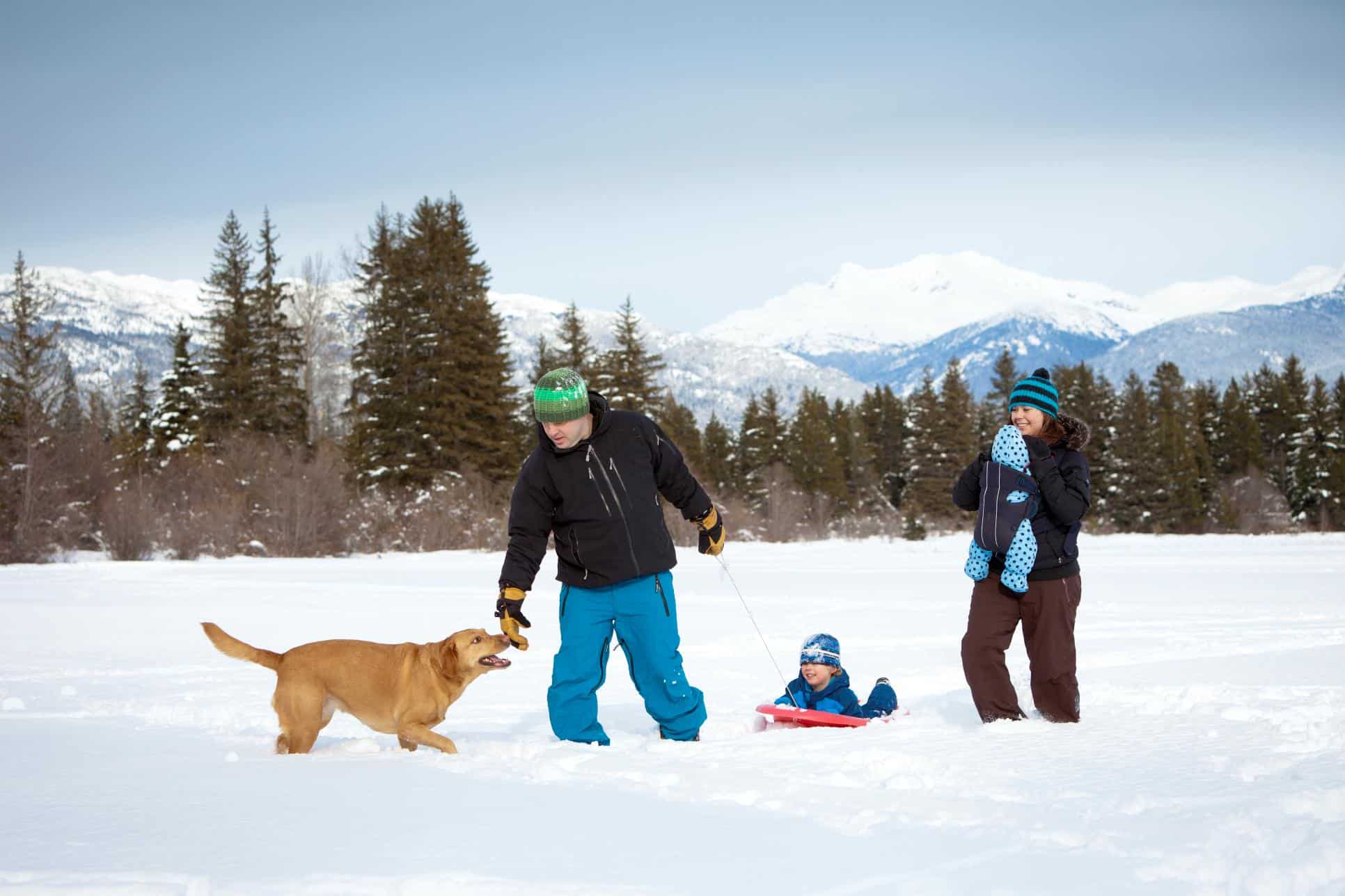 Canine Cardio: February Fitness Challenges for Your Dog