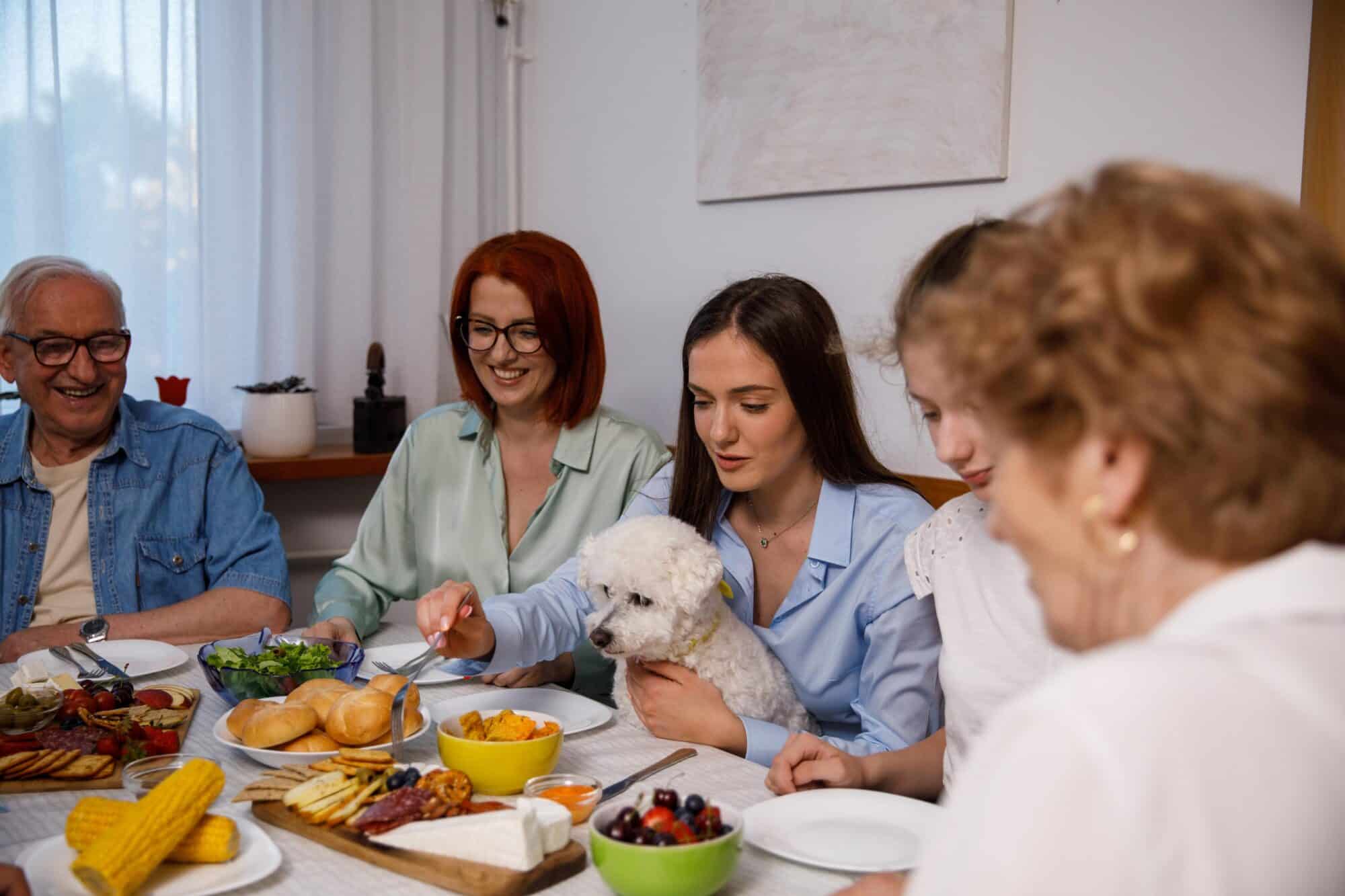 Pancreatitis in Pets: The Holiday Condition You’ve Never Heard Of