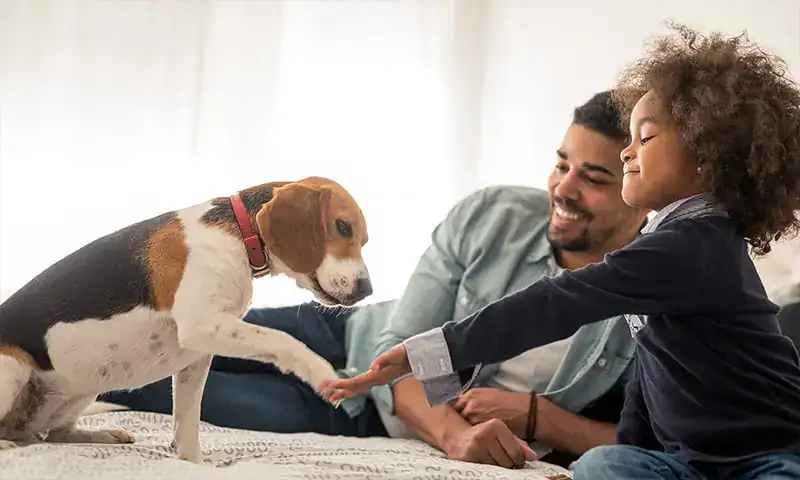 A family with their puppy